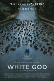 White God (Fehér isten) (2014)