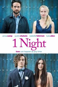 1 Night (One Night) (2016)