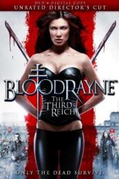 BloodRayne: The Third Reich (2011)