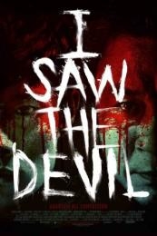 I Saw the Devil (Ang-ma-reul bo-at-da) (2010)