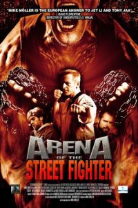 Urban Fighter (Arena of the Street Fighter) (2013)