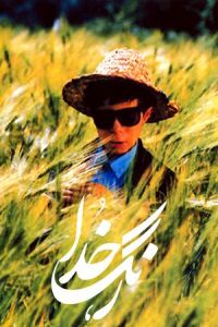 The Color of Paradise (Rang-e khoda) (1999)